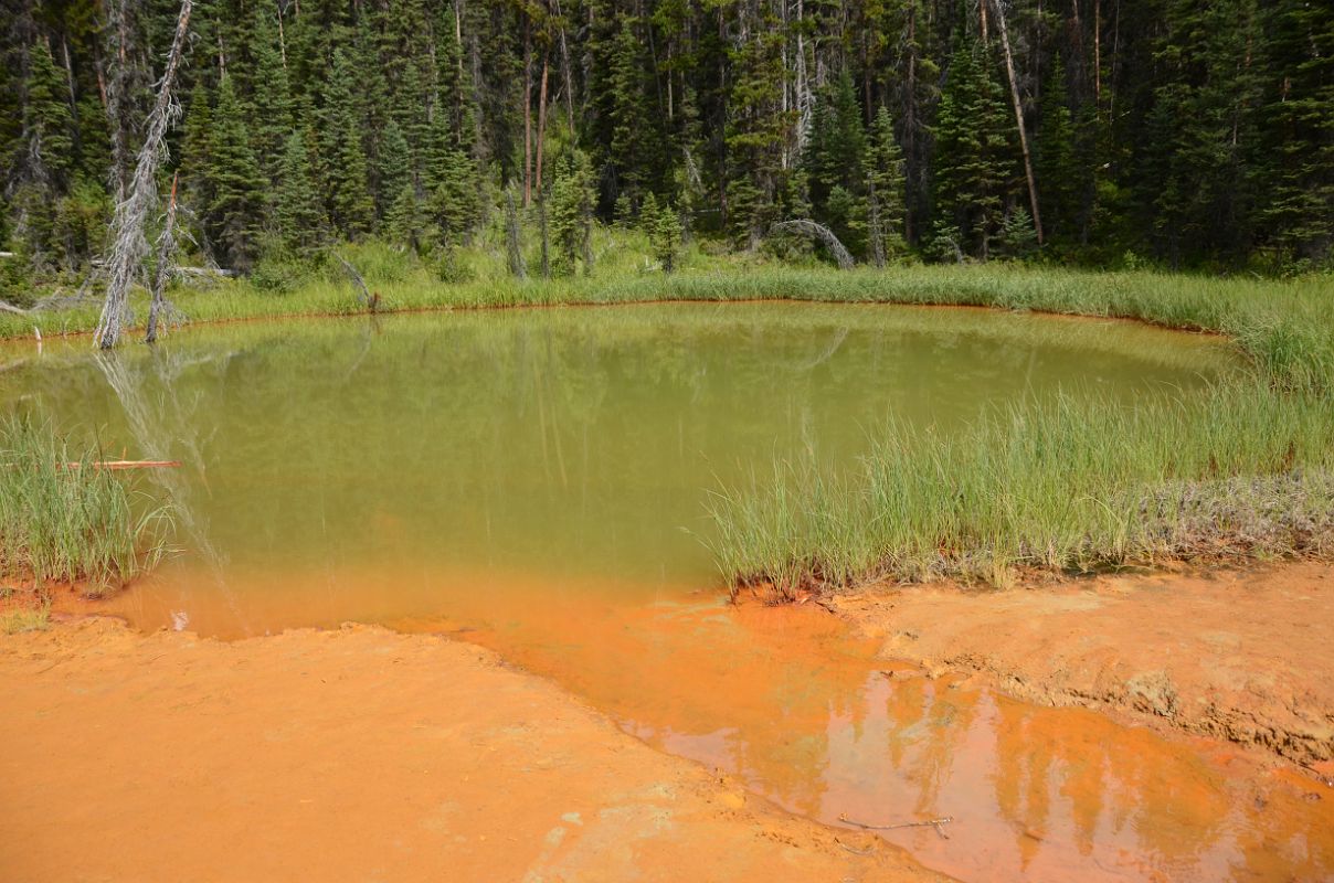 07 Paint Pots Off Kootenay Banff Windermere Highway 93